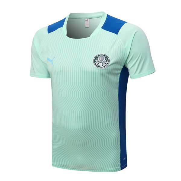 Trikot Entrenamien Palmeiras 2022-23 Grün